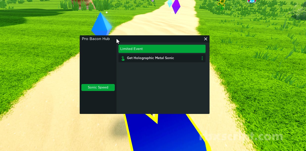 Probacon Hub Sonic Speed Simulator Script