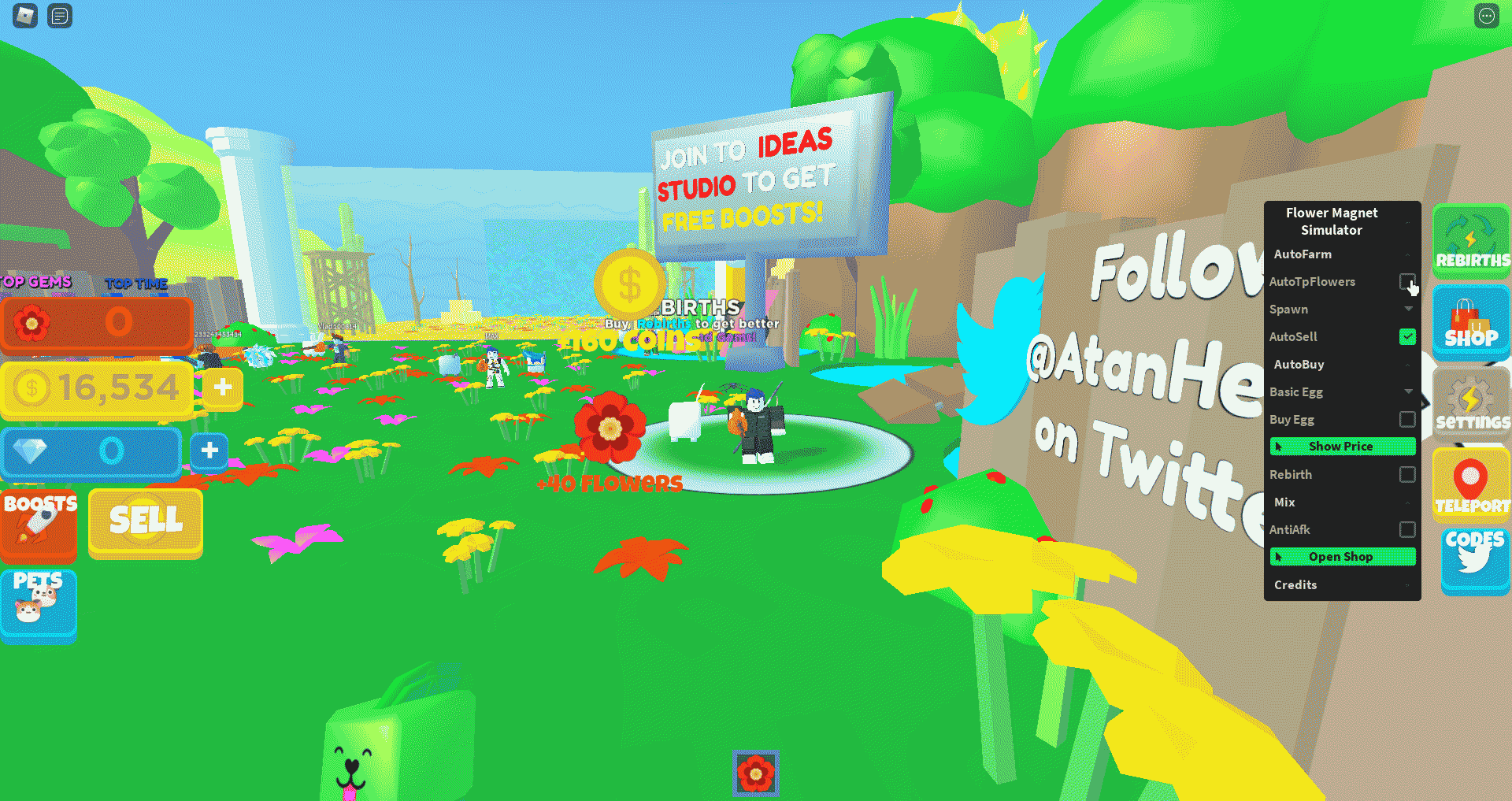 Flower Magnet Simulator NEW GUI!